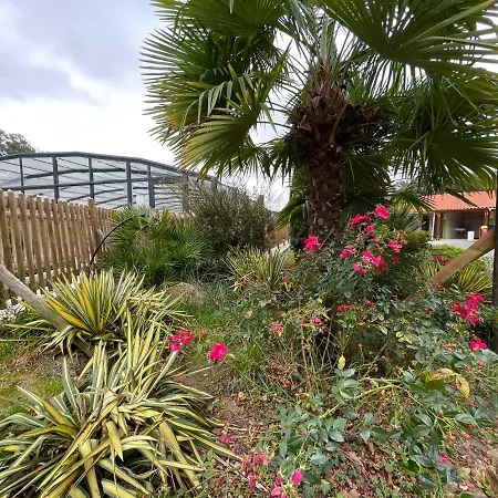 Mh-maufay -- Mobil'home Au Coeur De La Vendee Chalet