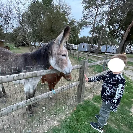 Mh-maufay -- Mobil'home Au Coeur De La Vendee Chalet La Boissiere-de-Montaigu